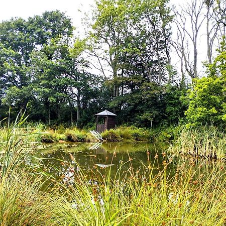 Charming Tranquil Shepherds Hut With Lakeside Balcony 'Roach' Uckfield Exteriér fotografie
